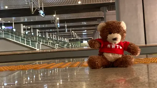 Macintosh the NWTC bear waiting for a train in Dali